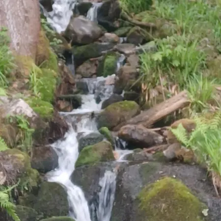 Frühstückspension Dhotes Au Coeur Du Massif Des Vosges Plainfaing