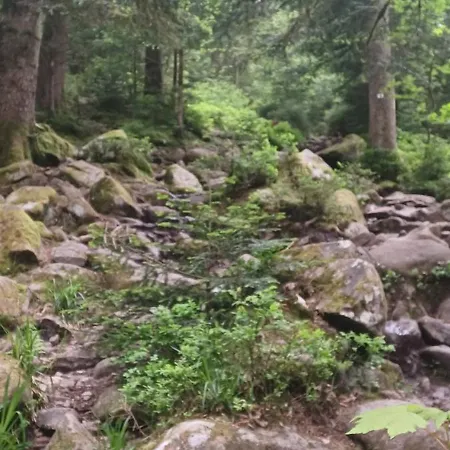 Dhotes Au Coeur Du Massif Des Vosges 3*