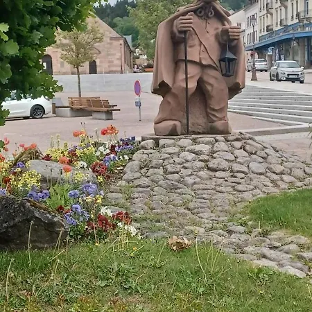 Frühstückspension Dhotes Au Coeur Du Massif Des Vosges 3*